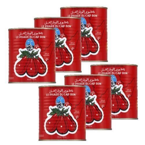 Lot 6X Double concentré tomate - Le Phare du Cap Bon - conserve 800g (4-4)