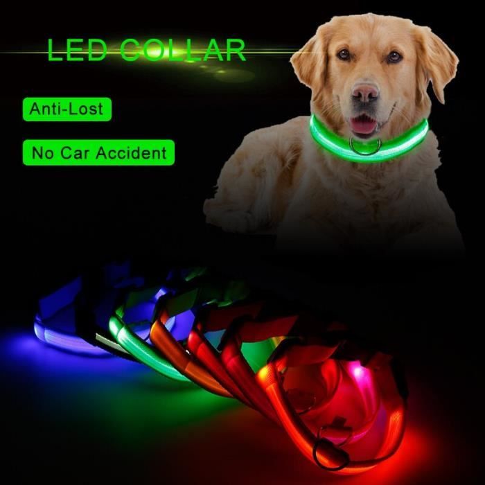 Collier en Nylon Fluorescent pour chiens - Colliers lumineux pour chiens, collier pour chien l - Modèle: Bleu ciel L - FYCWXQB07295