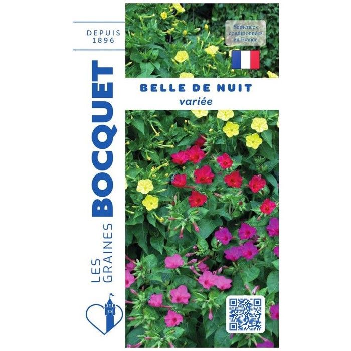 Graine - Semence - Belle de nuit variée