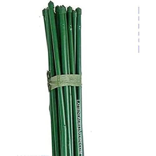Lot De 25 Tuteurs Bambou 180 Cm Diamètre 10-14 Mm - Supports Plantes Et Légumes