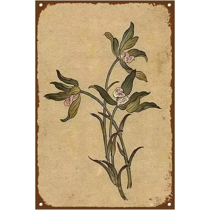 Lsjuee Plantation Lavande Rétro Métal étain Signe Plaques Métal Affiche Plaque Décor Pour Chambre Cuisine Bar Ferme Mur Signes 8x12 Pouces