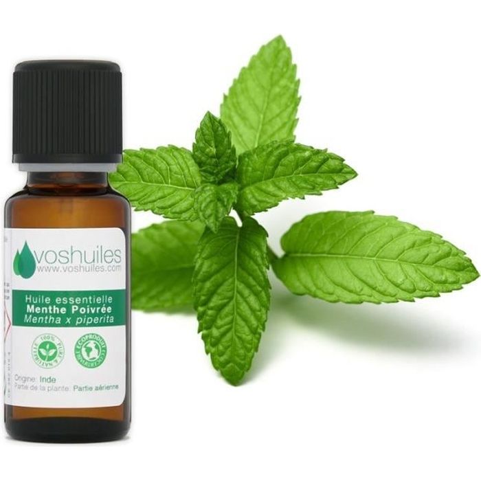 Huile Essentielle de Menthe poivrée 10ML Cdiscount Santé Mieux vivre Huile Essentielle de Menthe poivrée 10ML Cdiscount Santé Mieux vivre
