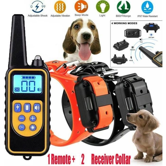 Mode D Emploi Collier De Dressage Pour Chien