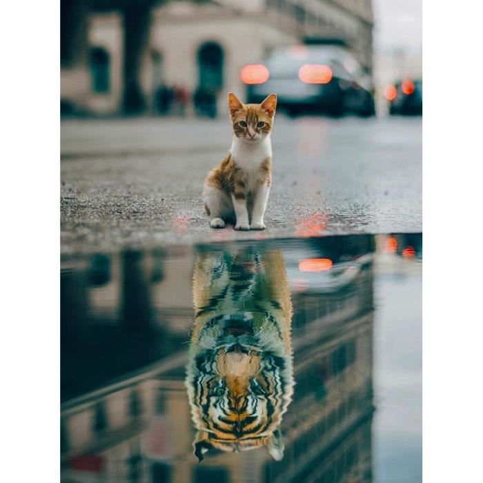 Kit De Peinture Diamant Avec Outils, Meecaa Tigre Cub Fleur