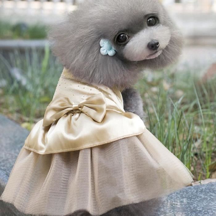 Robe de hotsell mariée pour chien