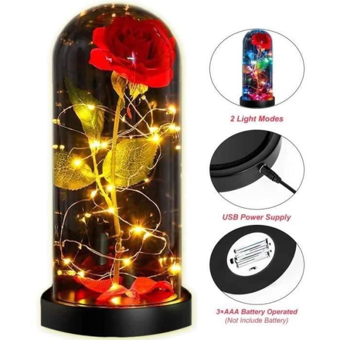 Rose éternelle Sous Cloche Frasheng - Dôme Verre Avec LED, Carte Et Coffret Cadeau, Idée Romantique