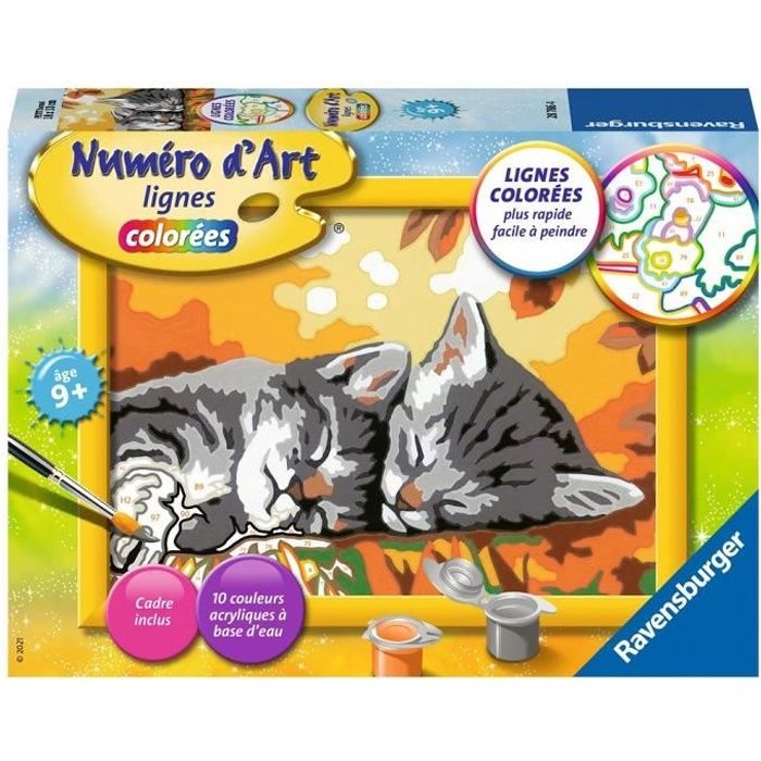 Kit complet de Peinture au numéro - Numéro d'art - petit format - Deux chatons couchés - Ravensburger