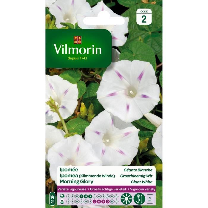 VILMORIN Ipomée blanche étoilée à grande fleur blanche - Cdiscount Jardin