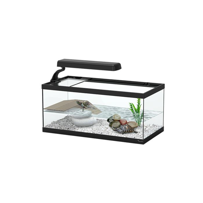 Aquarium pour tortues aquatiques - Aquatlantis - Tortum - Noir - L40 x l20 x H18 cm Aquarium pour tortues aquatiques - Aquatlantis - Tortum - Noir - L40 x l20 x H18 cm