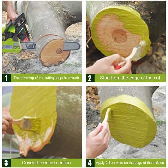 Mastic cicatrisant arbre - Pour taille et greffage - PROTECTA