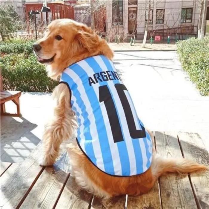 Tee shirt pour grand chien hotsell