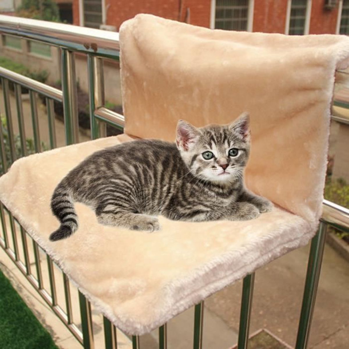 Chat Hamac Lit Panier Chaud Tapis Chaise Suspendu Crochet Etagere Housse Amovible Portable Pliant Beige Achat Vente Corbeille Coussin Chat Hamac Lit Panier Chaud Cdiscount Chat Hamac Lit Panier Chaud Tapis Chaise Suspendu Crochet Etagere Housse Amovible Portable Pliant Beige Achat Vente Corbeille Coussin Chat Hamac Lit Panier Chaud Cdiscount