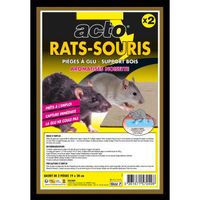 ACTO Anti-rongeurs : Pièges à Glu pour Rats & Souris avec Support Bois - Aromatisé Noisette-