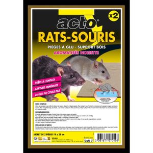 Piège à souris avec seau pour rats, souris, rats - Pour intérieur et  extérieur - Deratification humanitaire[1475] - Cdiscount Au quotidien