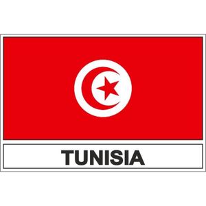 4 x Autocollant sticker voiture moto valise pc portable drapeau tunisie tunisien