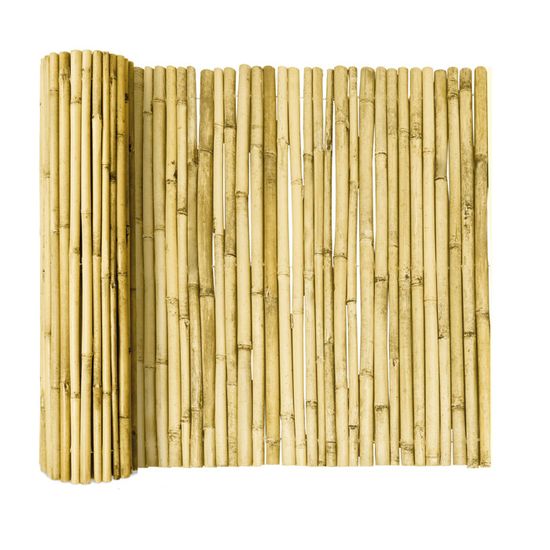 Brise-Vue Bambou Sol Royal B33 Clair Brillant 80x600 Cm - Canisse Protection Intimité Balcon Jardin Extérieur Naturel