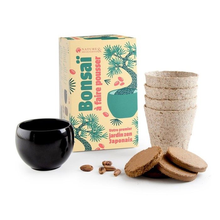 Kit bonsaï à faire pousser - Plantes originales atypiques - Nature & Découvertes