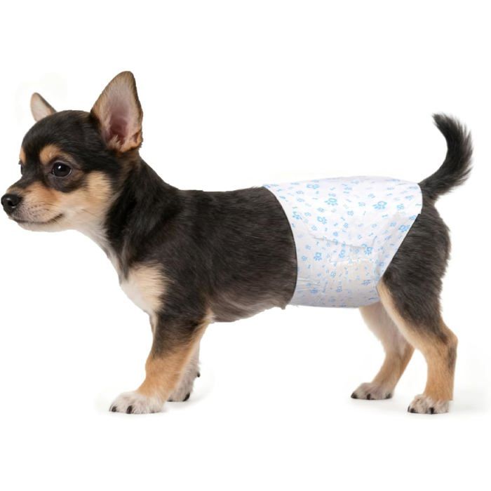 Couches jetables pour chien mâle - ESTAMPILLE - XS - 20 pièces - Anti-fuites - Super absorbantes
