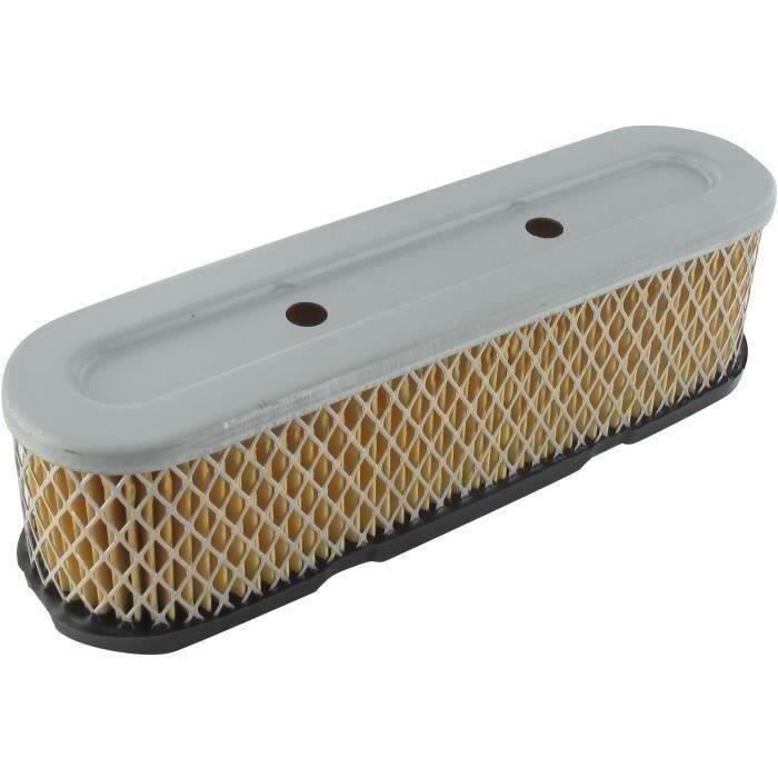 Filtre à air TECUMSEH 35403