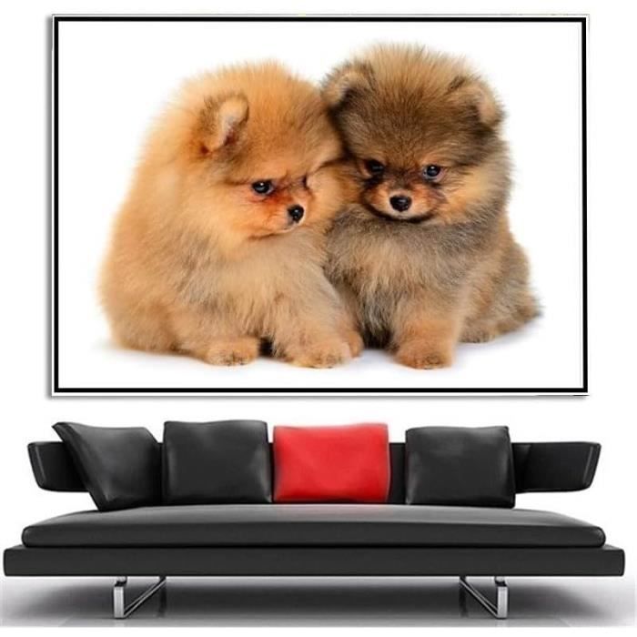 Better Selection 5D Diamant Peinture Lady Tramp Dîne avec Un Chien Perceuse Ronde Complète Diamant Strass Kits De Peinture pour Adultes Et Enfants Artisanat Décor À La Maison 30x40 cm
