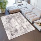 TAPISO Tapis Salon Poils Ras Sky Gris Clair Crème Vintage Polyester Intérieur 200x300 cm