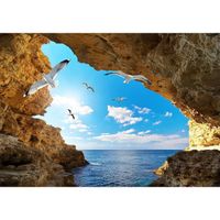 Papier Peint Panoramique 3D Intissé Tapisserie Paysage Naturel Grotte Mouette De Nuages ​​Ciel Bleu Muraux Tableau Mural 300x210cm