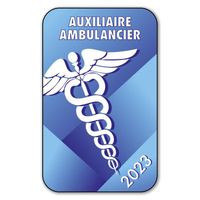 Autocollant Sticker - Vignette Caducée 2023 pour Pare Brise en Vitrophanie - V5 Auxiliaire Ambulancier 