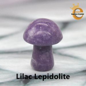 PIERRE VENDUE SEULE PIERRE VENDUE SEULE,Lilac Lepidolite-1 PC--Mini pi