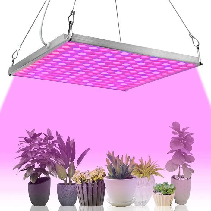 Lampe De Croissance LED Pour Plantes D'intérieur - Spectre Complet, Minuterie 2/4/8h, Hauteur Réglable 20-66cm - Idéal Semis, Orchidées, Succulentes
