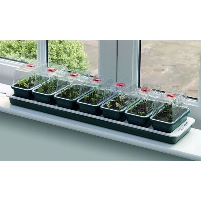 Super 7 mini-serre plantation fenêtre électrique