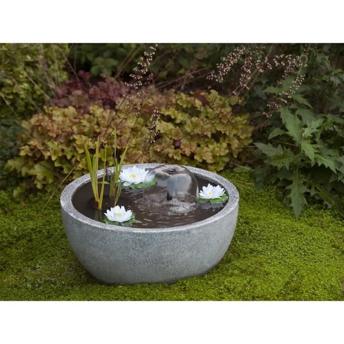 Ubbink Bassin rond avec pompe et nénuphars Gris