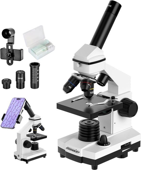 Microscope 100X-1200X Pour Enfants – Kit Scientifique Avec Spécimens Prêts