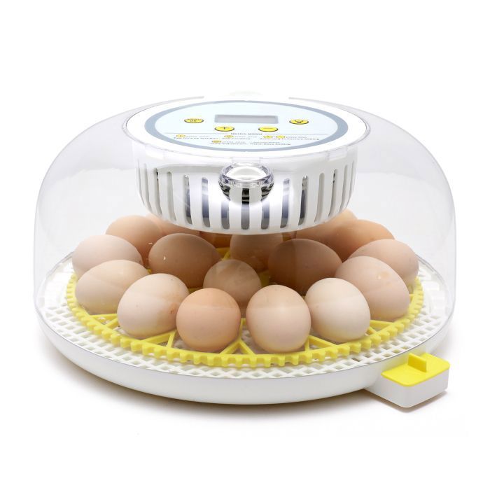 Meilleurs prix pour Couveuse Oeuf Automatique 18 oeufs - HOMDOX - Retournement Automatique et Contrôle de Température Affichage d'Humidité,Mire Oeuf