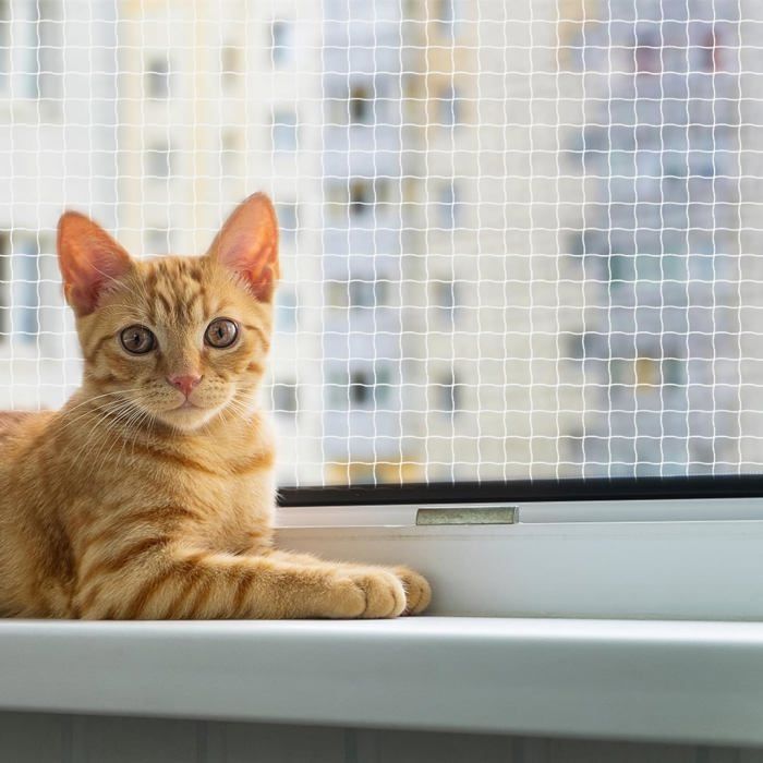 Filet de Protection Chat pour Balcon Transparent 10x3m - Filet Anti-Chute Animaux pour Balcon Terrasse Fenêtre