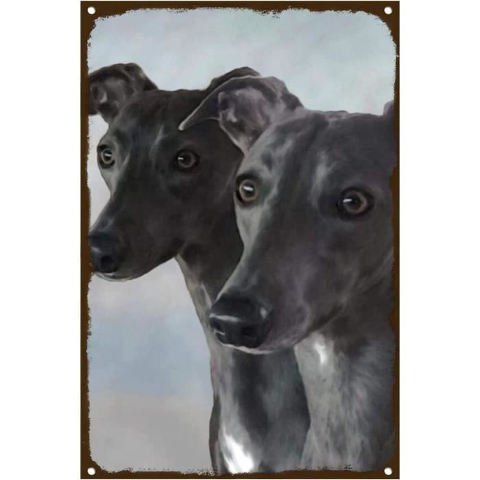 Plaque Murale Vintage En étain « Une Maison Sans Caniche N’est Pas Une Maison » – Déco Rétro 30x20 Cm