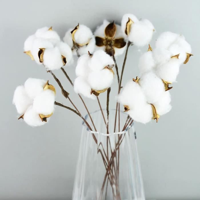 10 Têtes Tiges Fleurs de Coton Naturelle,Fleur De Coton Artificielle,Fleurs  Sechees Coton Fleur Naturel Fausses Branches Coto[O167] - Cdiscount Maison