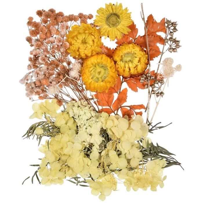 Lot De 37 Fleurs Séchées Pressées Naturelles - Roses, Hortensias, Marguerites - DIY Résine, Cartes, Déco
