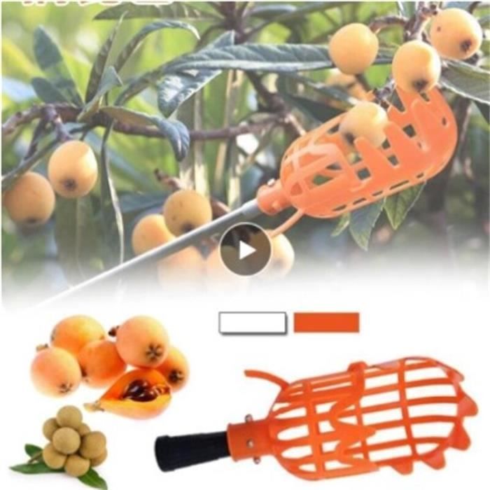 Veeteah Cueilleur de Fruits, Outil de Cueillette de Fruits, Panier de Cueillette de Fruits, Outil de Récolte de Fruits, Griffe de Cueillette de Fruits pour Rassembler Les Avocats Poires, Pêches