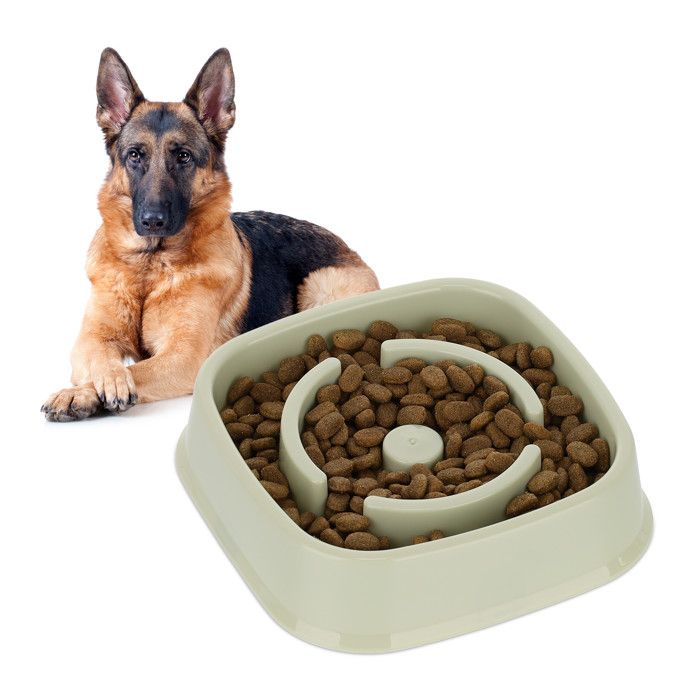 Meilleurs prix pour Relaxdays Gamelle anti-glouton, repas pour chiens, 800 ml, digestion lente, compatible avec lave-vaisselle, vert