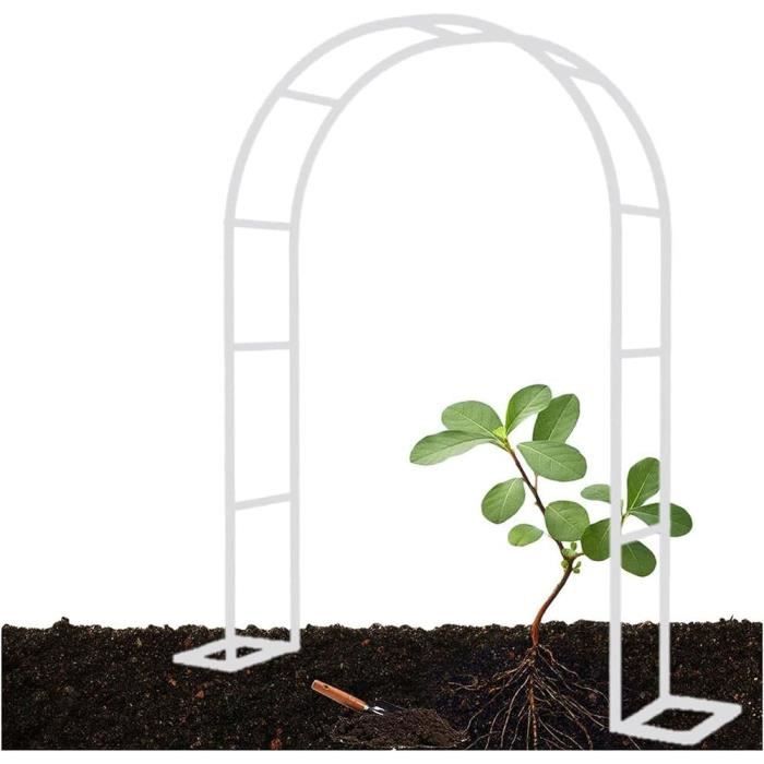 Arche De Jardin En Acier Inoxydable, Pergola En Métal Avec Base, 230CM