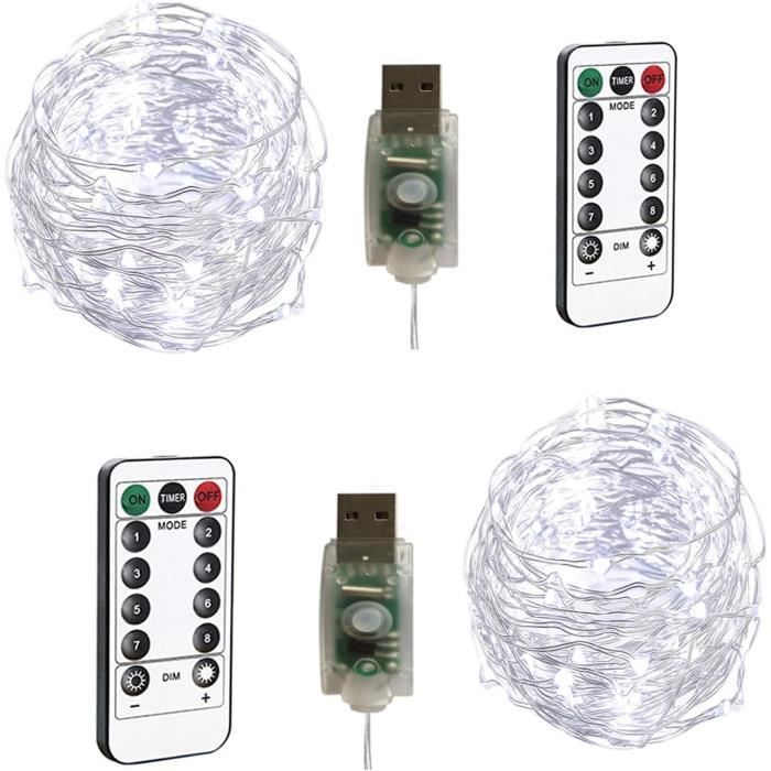 Echosari Lot De 2 Guirlandes Lumineuses à Piles, 100 LED