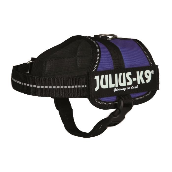 Harnais Power Julius-K9 - Baby 2 - XS-S : 33-45 cm-18 mm - Bleu - Pour chien