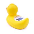 Digi Duckling - Thermomètre Digital de Bain -1