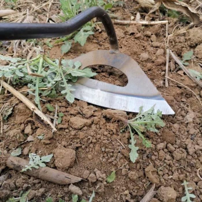 Désherbeur 4 Dents - Outil Jardin Pour Enlever Mauvaises Herbes Et Aérer La Terre