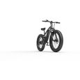 GOGOBEST Vélo électrique GF600 VTT Vélo électrique adulte, Fat Bike électrique 26 ", Shimano 21 vitesses-3