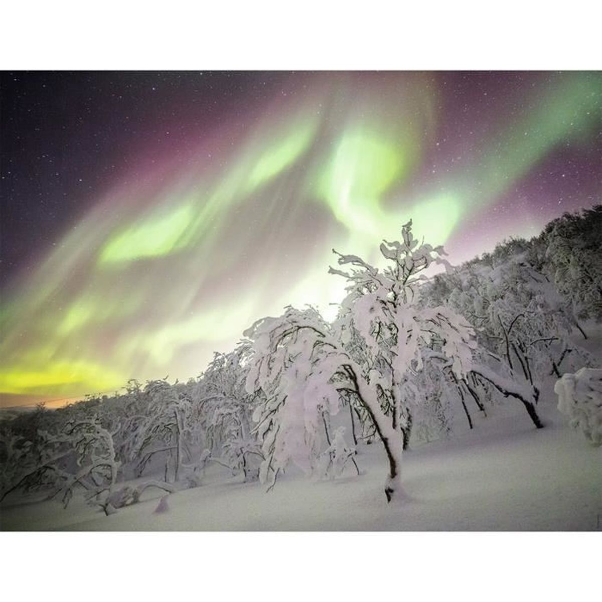 Puzzle 2000 Pièces Collection Evasion Aurore Boréale