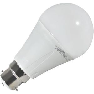AMPOULE - LED Ampoule Led B22 12W (équivalent 75W) - Couleur d'é