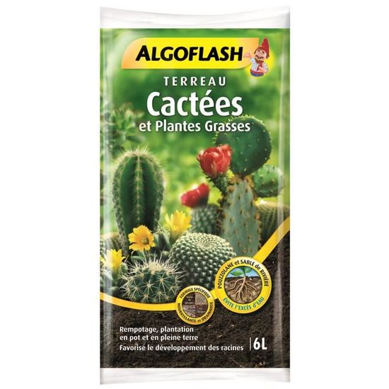Substrat Spécial Cactées Et Plantes Grasses Fertiligene - Terreau 6L, Drainage Optimal