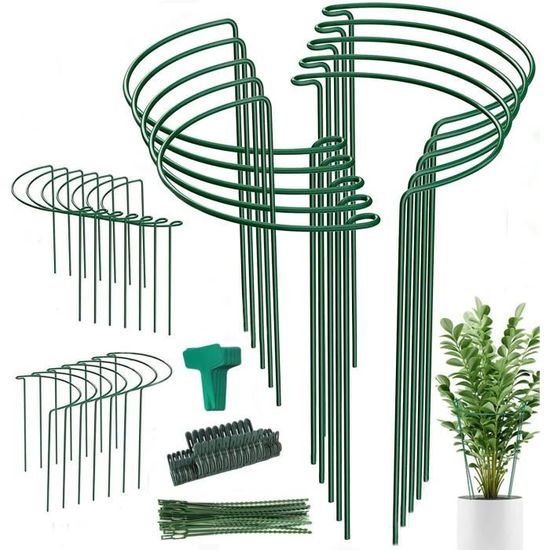 Lot De 6 Piquets De Support Pour Plantes En Métal Anneau De Jardin Pour Pivoine, Tomate, Rose