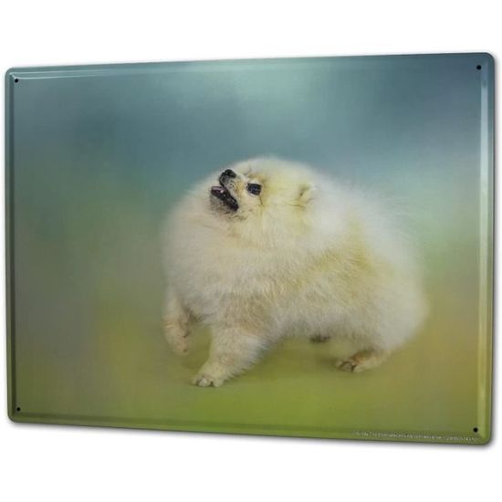 Schatzmix - R0740 - Plaque en metal decorative avec inscription en